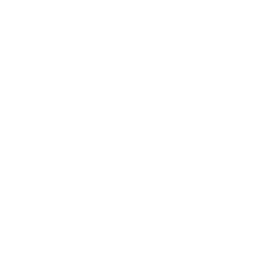 Approved by the Supreme Leader