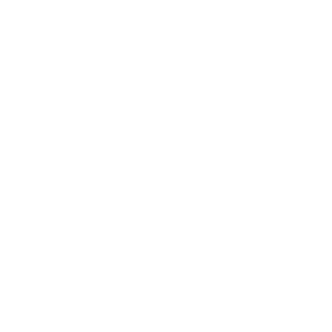 Approved by the Supreme Leader